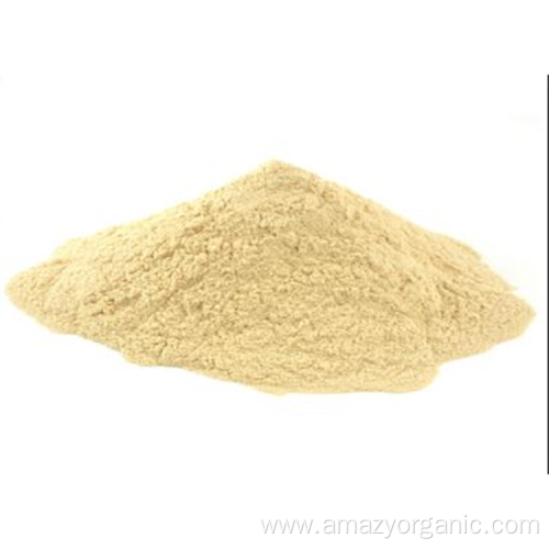 High Quality Organic Pure Red Apple Juice Powder